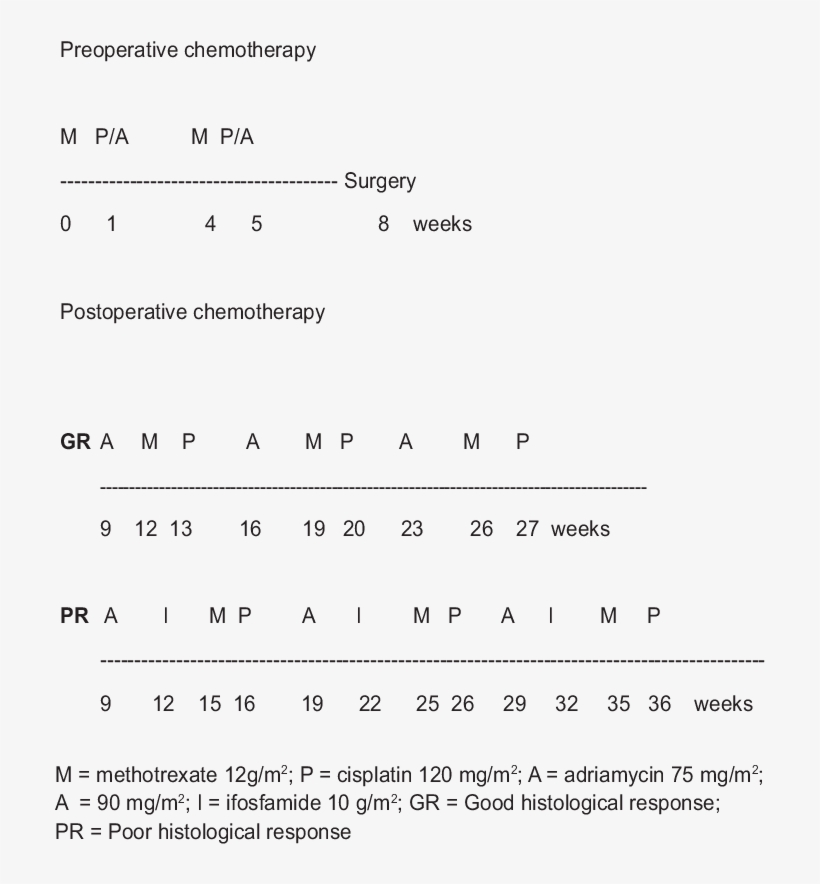 Sg/oss/os-a Protocol Outline - Communication Protocol, transparent png download