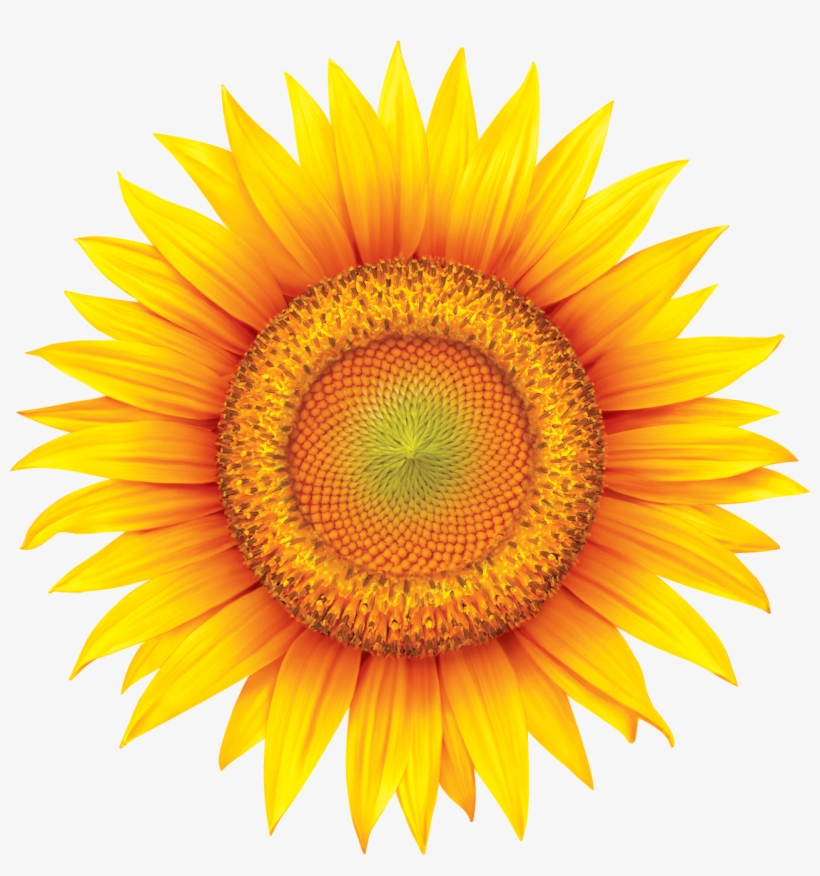 Sundown Naturals, transparent png download