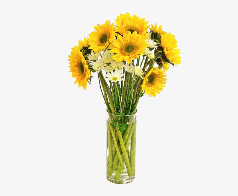 Sunflower Pot Transparent, transparent png download