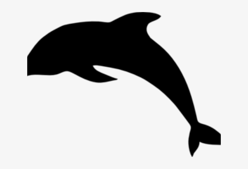 Wholphin, transparent png download