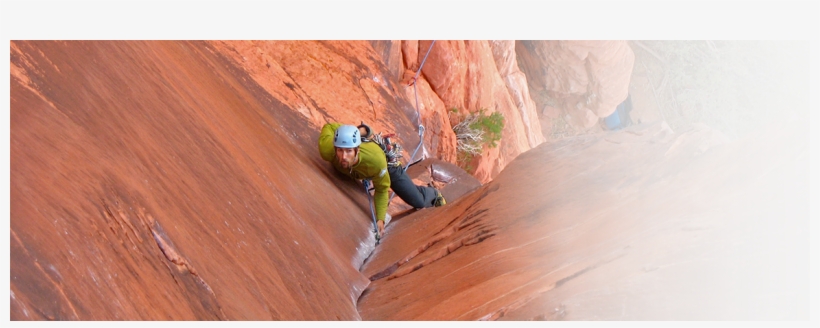 The Fox Red Rocks, transparent png download