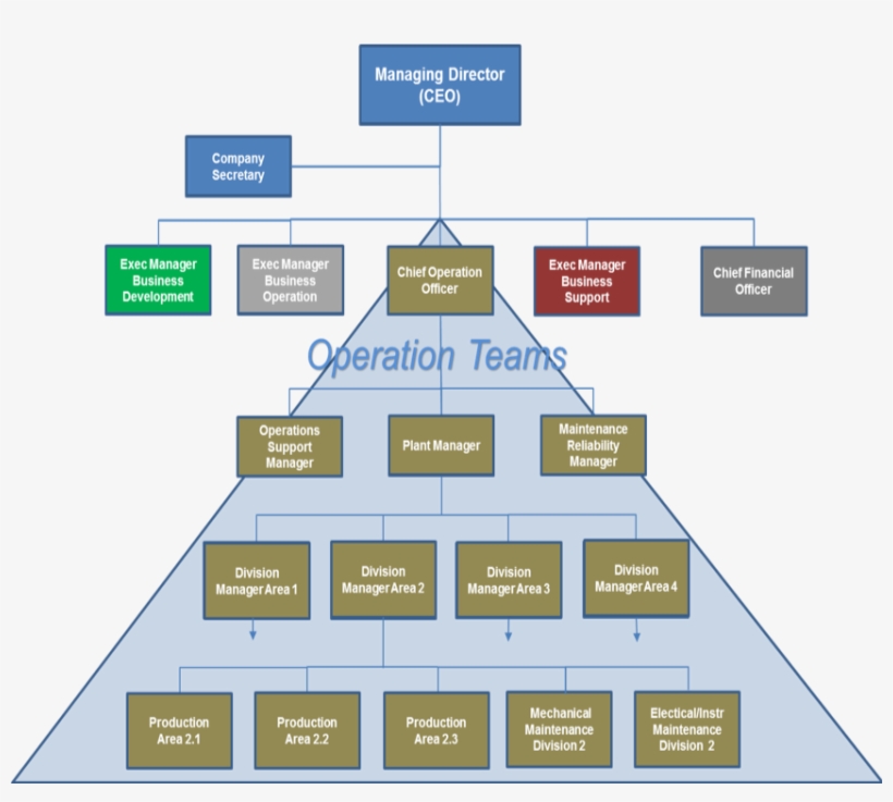 Business Structure - Operation Management Business Process, transparent png download