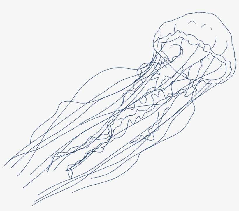 Rip Current - Sketch, transparent png download