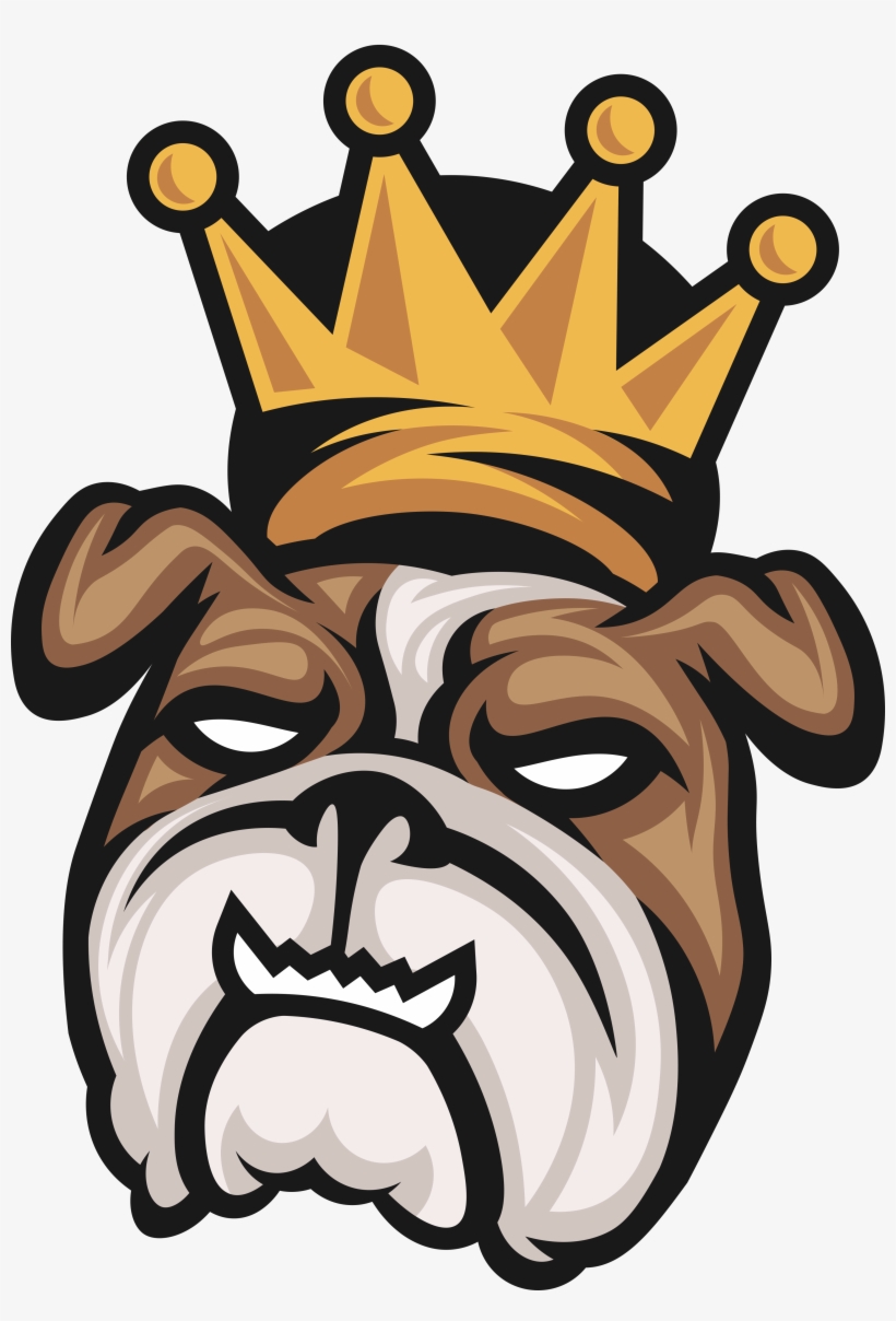 Official Vgo Cases, transparent png download