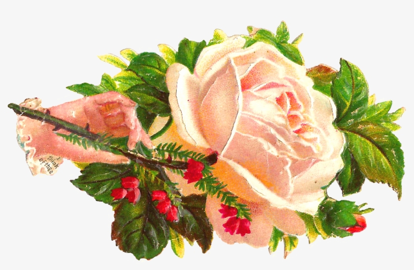 Free Flower Graphic - Clip Art, transparent png download