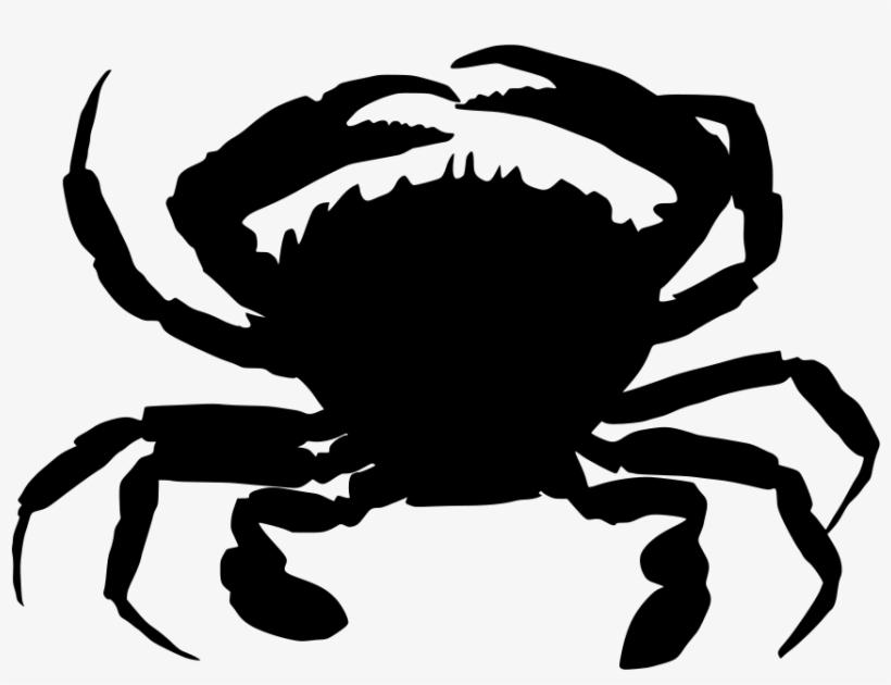 Download Png, transparent png download