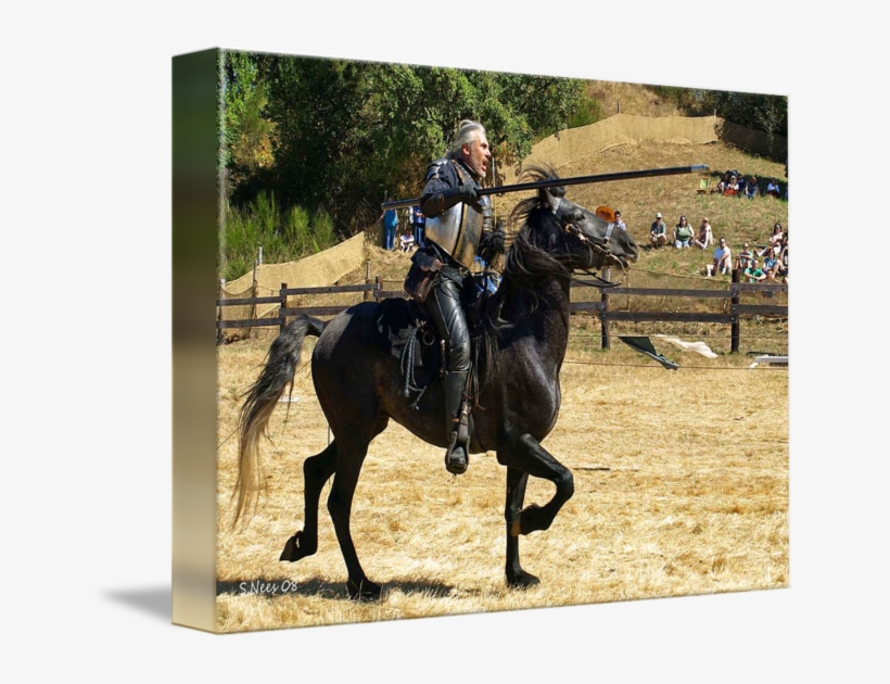 Joust By Shari Nees - Jousting, transparent png download
