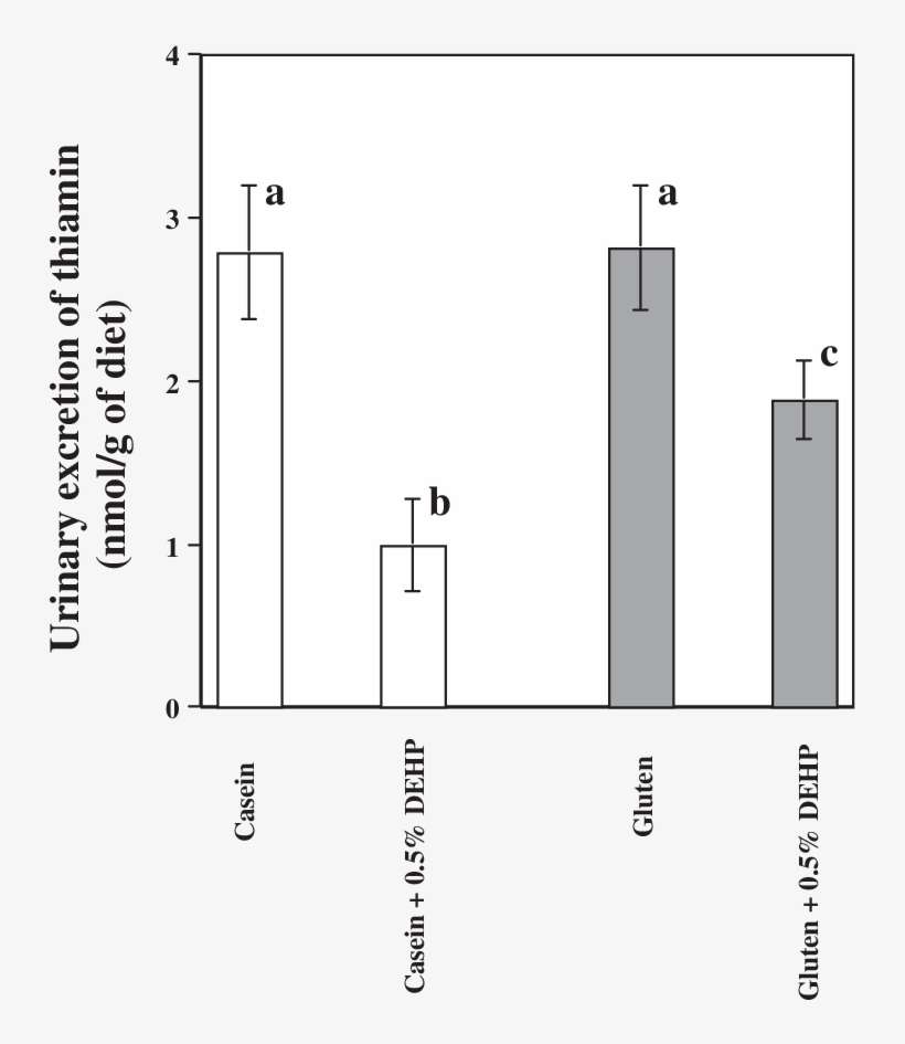 Effect Of Dehp On The Urinary Excretion Of Thiamin - Diagram, transparent png download