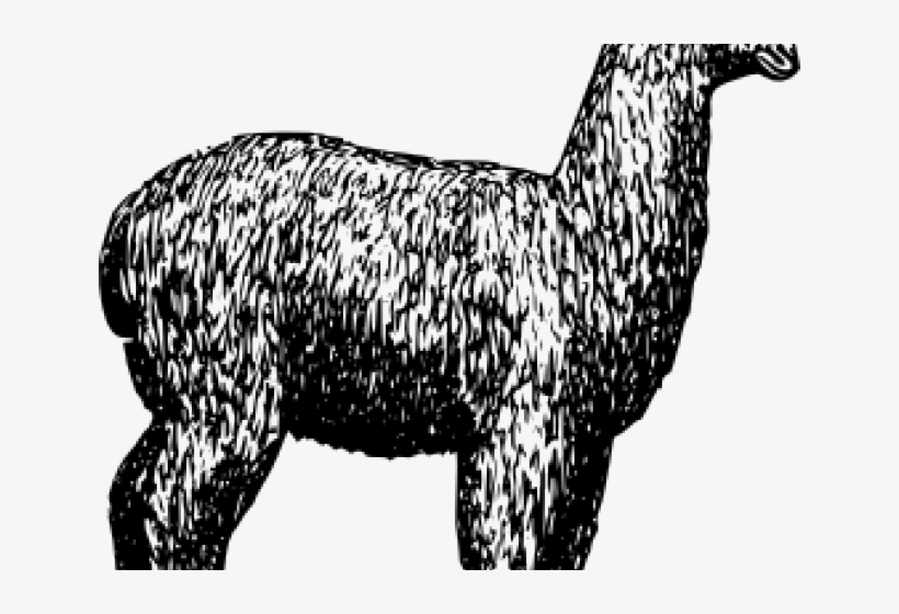 Zazzle Alpaca Tote Bag, transparent png download