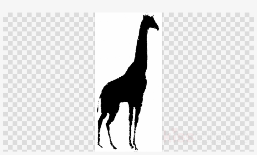Name Clipart Name Animal Llama - Clip Art, transparent png download