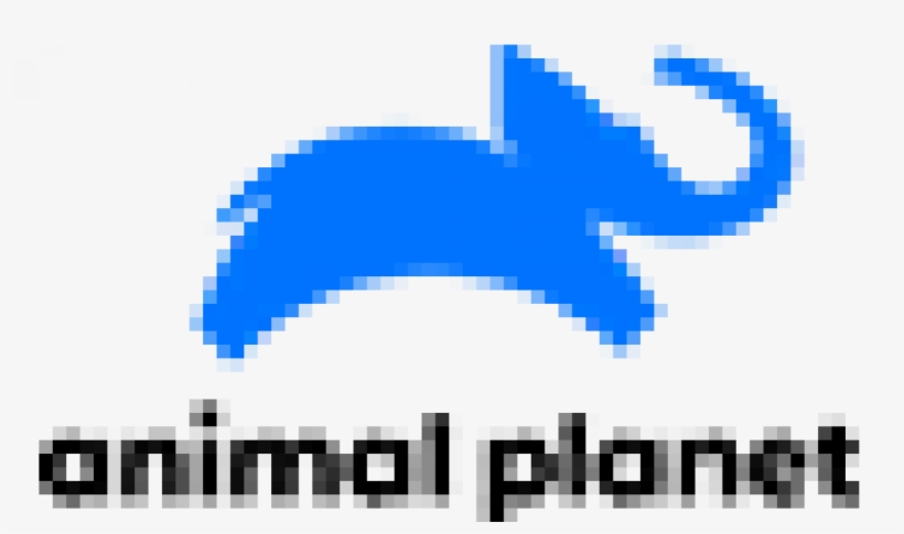 362 - Animal Planet Logo 2018, transparent png download