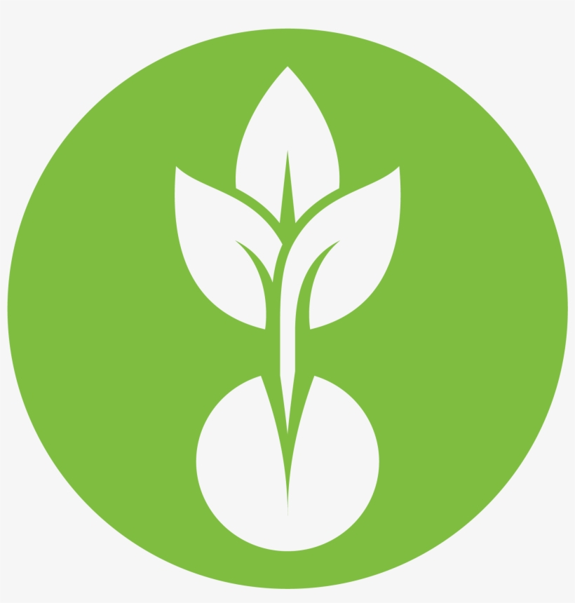 Ever-changing Seasonal Menus - Hangover, transparent png download