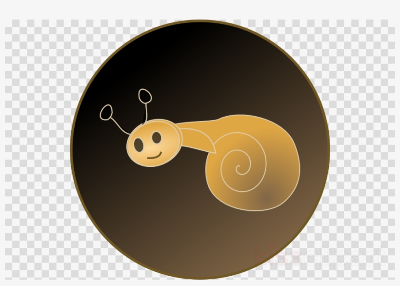 Snail Clipart Snail Gastropods Clip Art - Clip Art, transparent png download