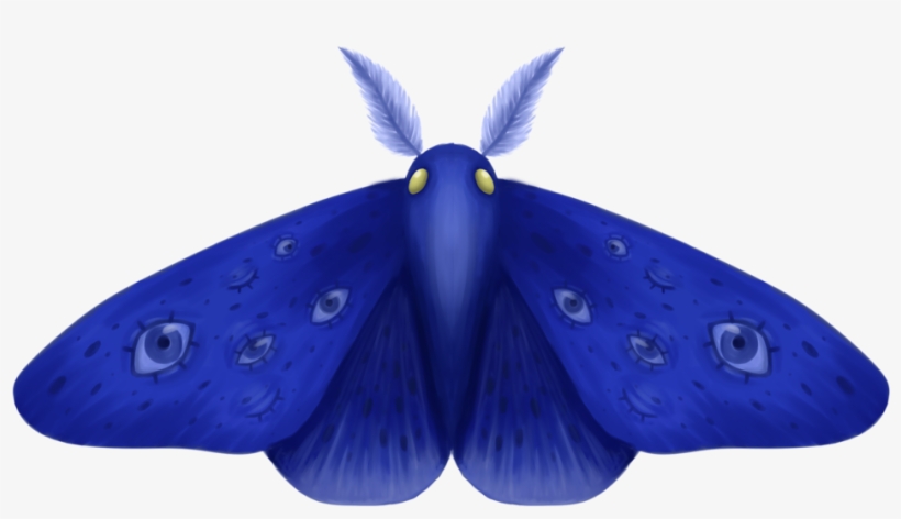 Moth Png, transparent png download