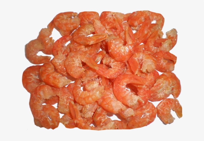 Picture Freeuse Library Dried Fish Great Letter F Real - Dry Shrimp, transparent png download