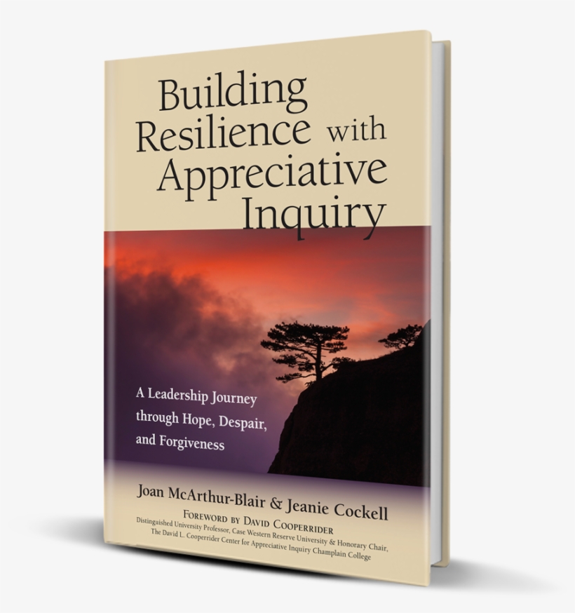 Buildingresilience 3d, transparent png download