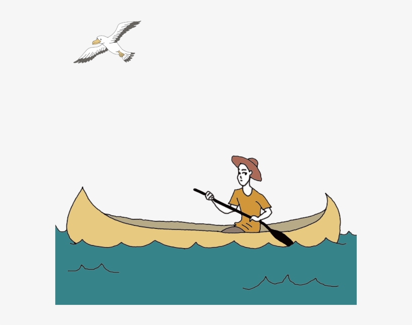 Seagull Png, transparent png download