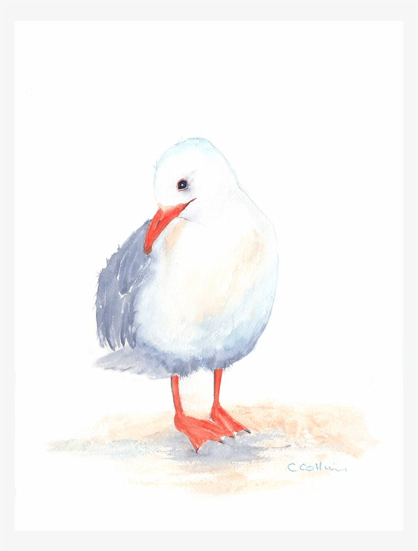 Watercolour Seagulls - Seagull Watercolour One Of Three Framed Print Size:, transparent png download