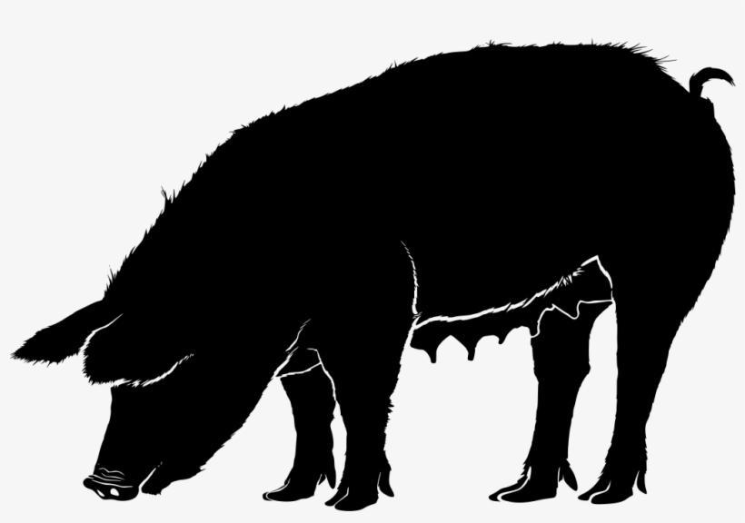 Download Png - Silhouettes Of Pig Png, transparent png download