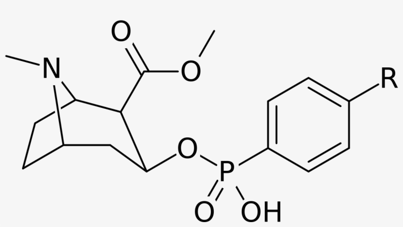 Cocaine Analog - Chloramphenicol, transparent png download
