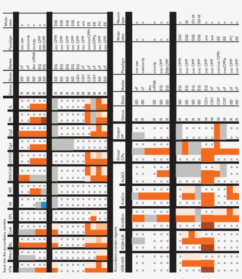 Effects Of Social Interaction, Pair Housing, Or Environmental - Graphics, transparent png download