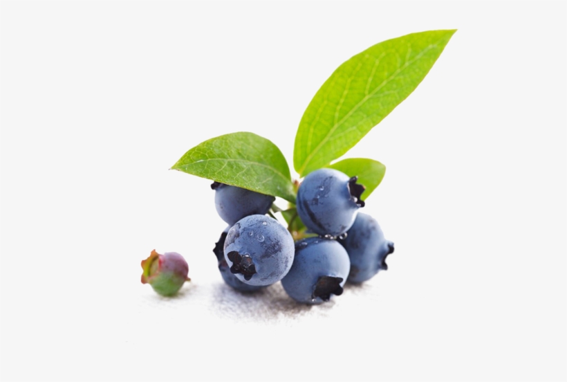 Bio Blueberry - Holika Holika Blueberry Juicy Mask Sheet 20ml, transparent png download