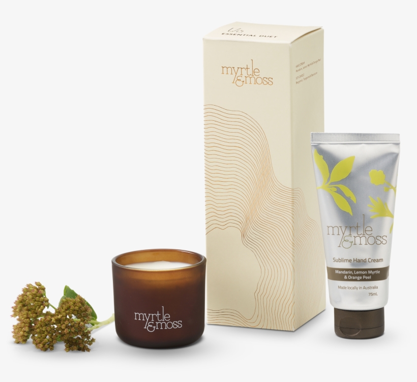 Myrtle And Moss - Myrtle And Moss Photography, transparent png download