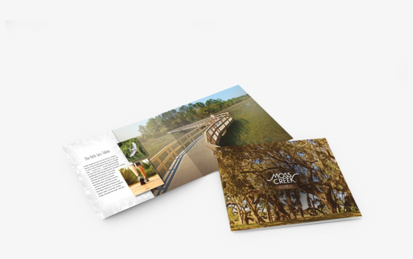 Moss Lookbook Render - Graphic Design, transparent png download