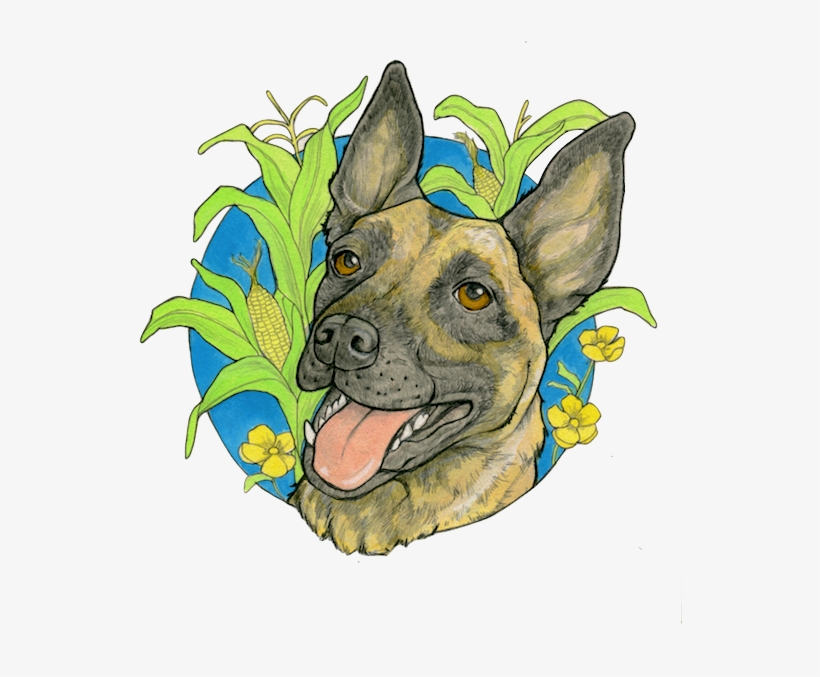 Pet Portrait - Anya - Teddy Roosevelt Terrier, transparent png download