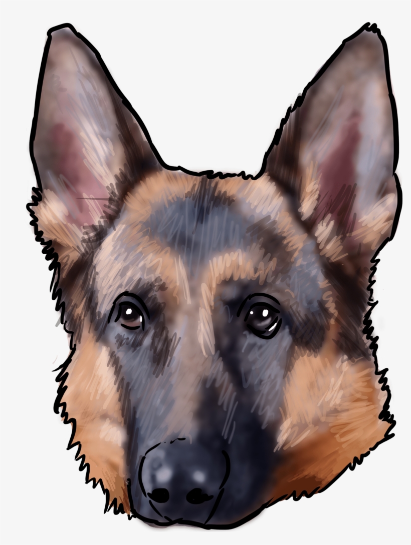 34 Why Are You A German Shepherd - German Shepherd Sniffer Dog, transparent png download