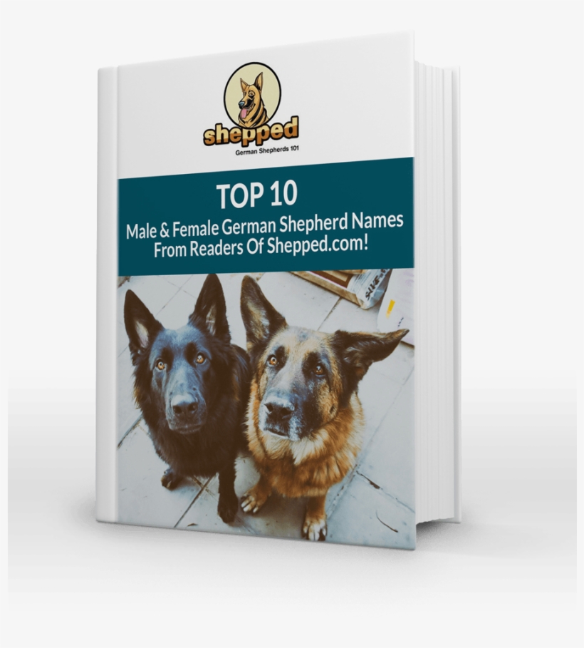 Tired Of Hearing The Same Old, Boring Names For German - Old German Shepherd Dog, transparent png download