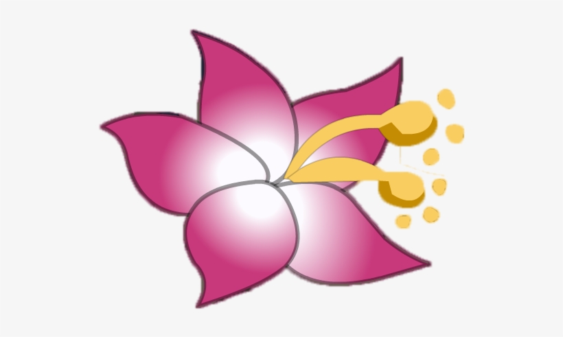 Hawaiian Flower, transparent png download