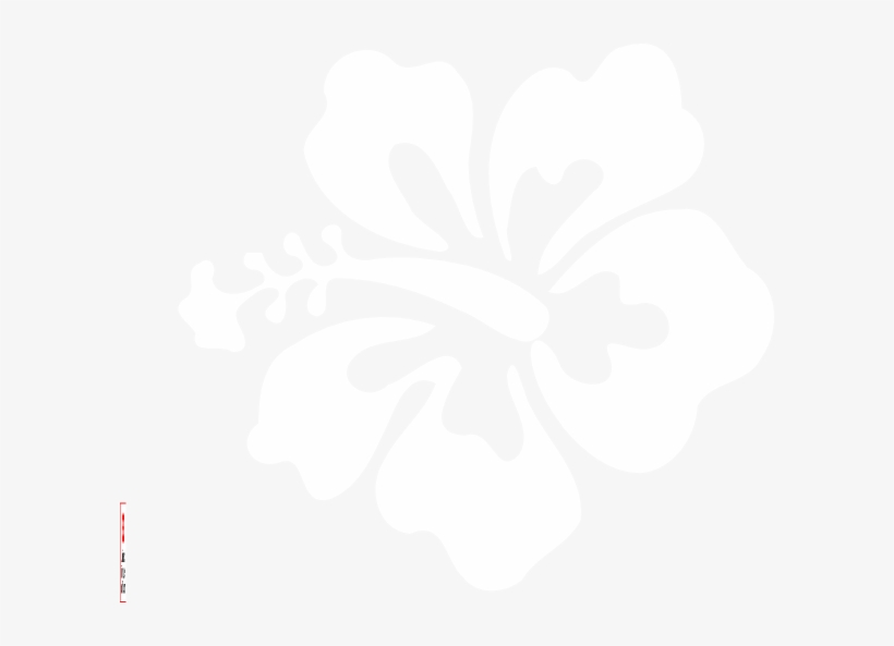 How To Set Use Gray Hibiscus Flower Clipart, transparent png download