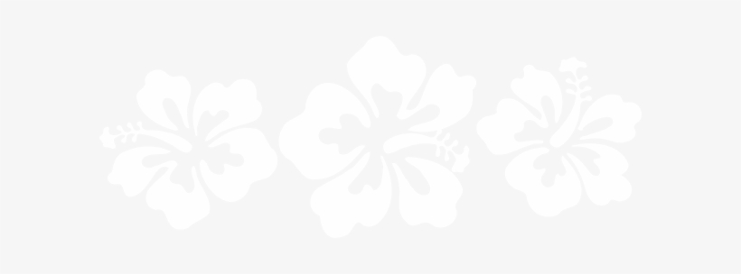 White Clipart Hibiscus Flower - Hawaiische Hibiskus-blumen Postkarte, transparent png download