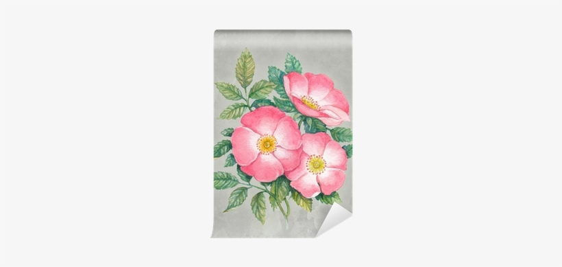 Watercolor Illustration Of Dog-rose Flower Wall Mural - Illustration, transparent png download