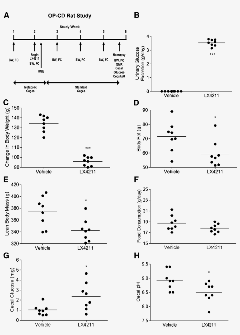 Effects Of Lx4211 On Op Cd Obese Rats - Number, transparent png download