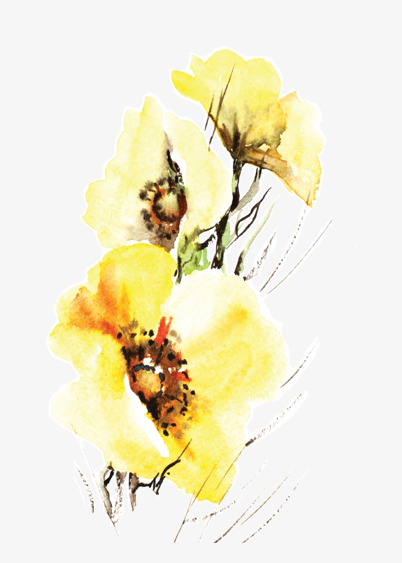 Meadowfoam Vector, transparent png download