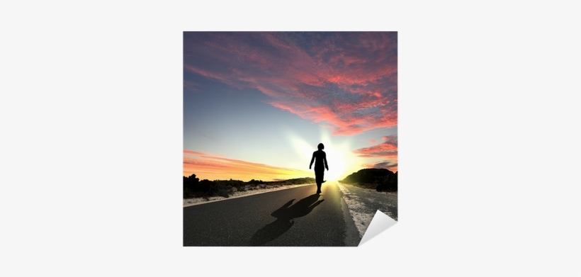 Man Walking Away At Dawn Along Road Sticker • Pixers® - Soft Landing: How One Woman Survived A Collision Course, transparent png download