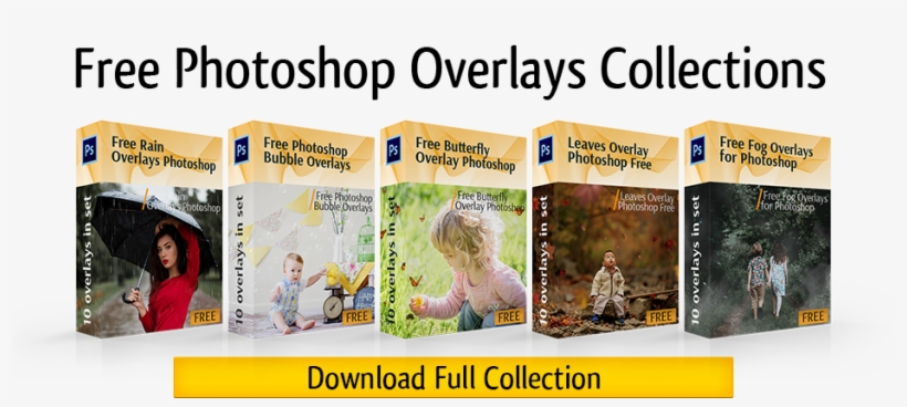 Free Rose Petals Overlays Entire Overlays Collection - Advertising, transparent png download