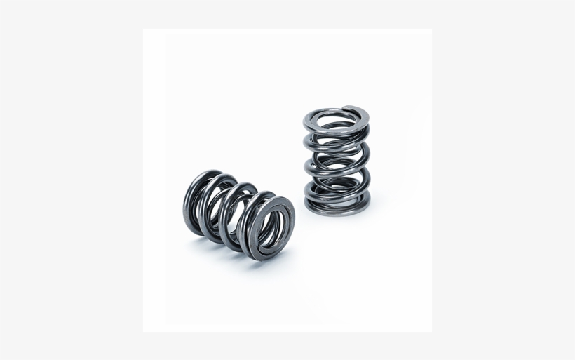 Dual Valve Spring - M52 Valve Springs, transparent png download