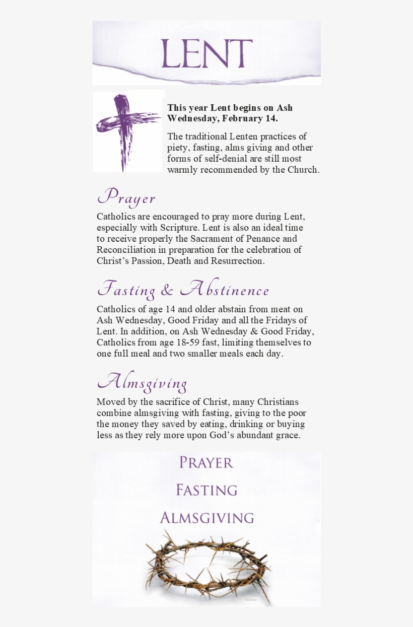 Picture - Recovery - Through Christ: Study Guide 1 - The First, transparent png download