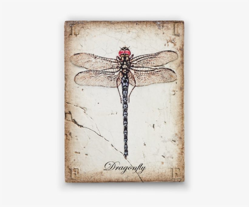 Transformation Collection Midnight Collection Siddickens - Sid Dickens Dragonfly Tile, transparent png download