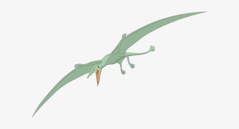 Small - Passaro Dinossauro, transparent png download