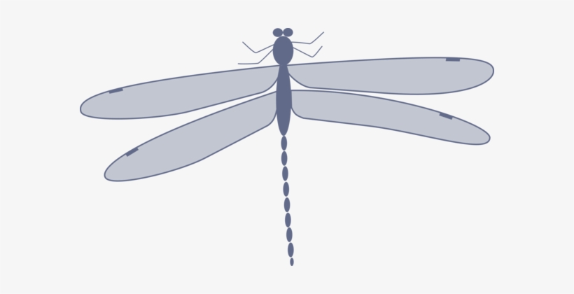 Dragonfly Damselflies Insect Computer Icons Drawing, transparent png download