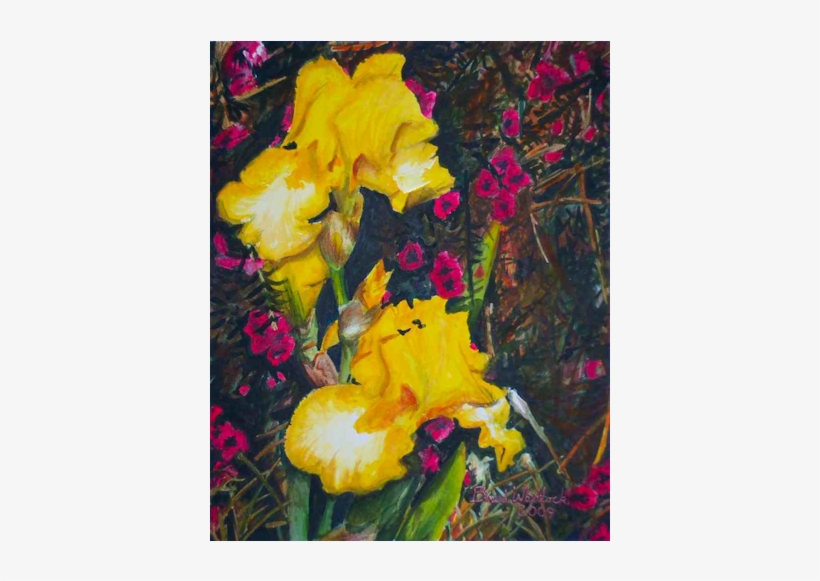 Yellow Irises From My Yard, Watercolor, - Iris, transparent png download