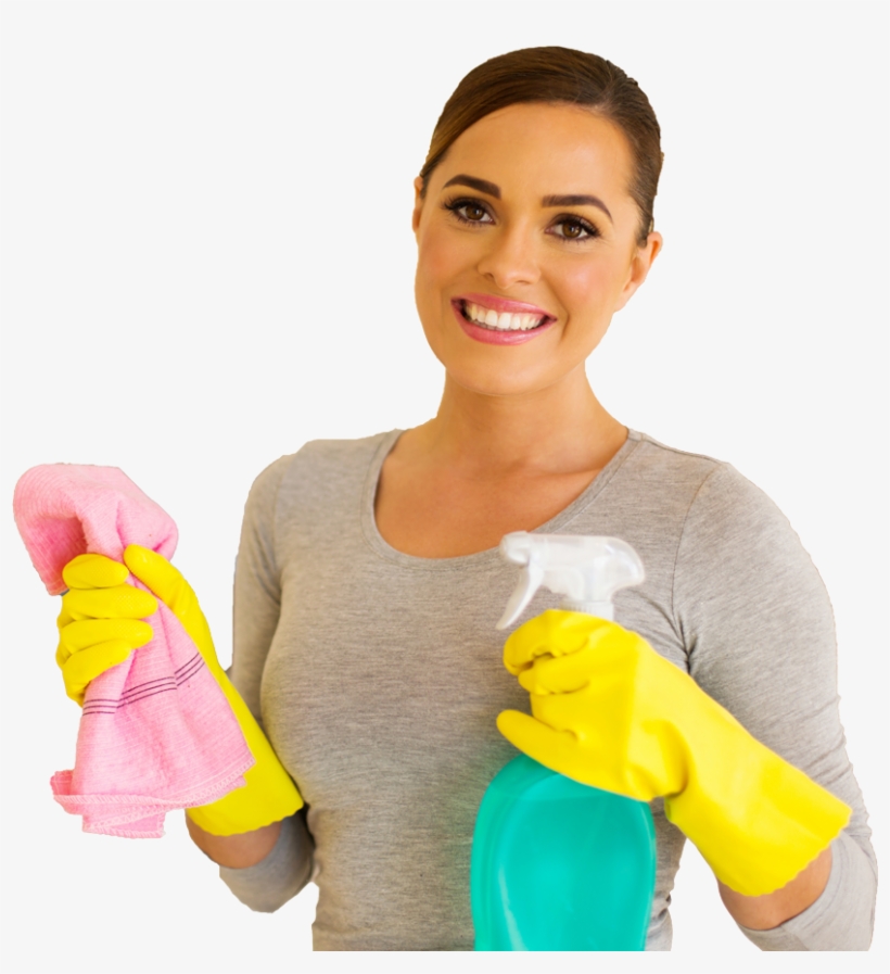 Why Leesburg Home Cleaning - Cleaning Lady Png, transparent png download
