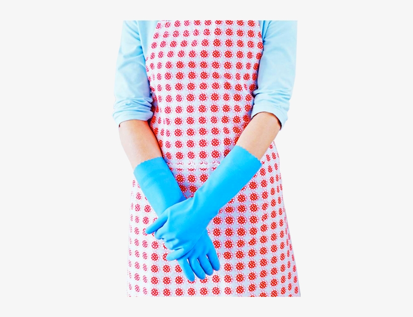 Manual Empleo Doméstico: Limpieza Doméstica, transparent png download