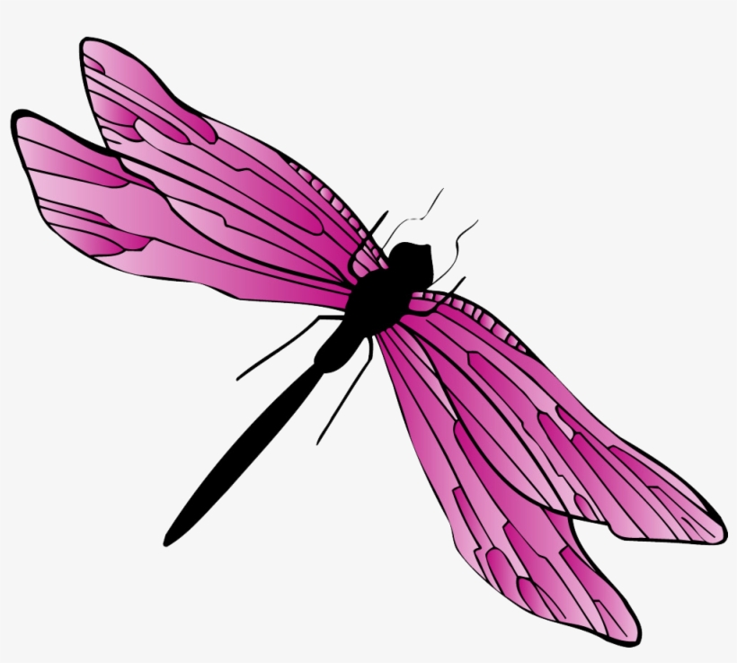 Dragonfly Gif Png, transparent png download