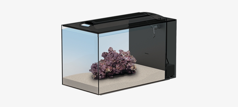 Top Trusted Tips On Moving Your Reef Tank - Reef Aquarium, transparent png download