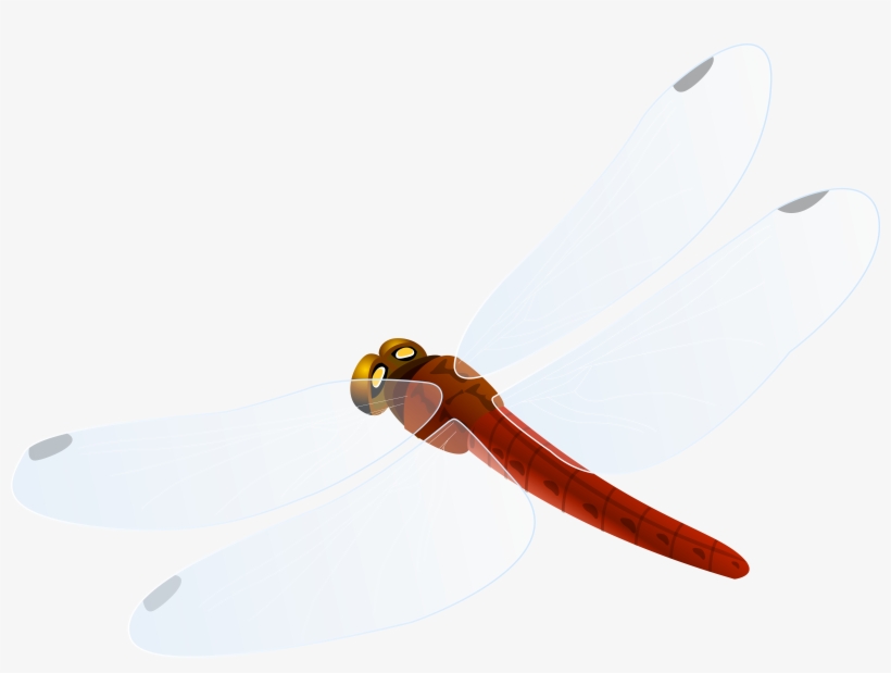 Red Dragonfly Png Clipart - Hunting Knife, transparent png download